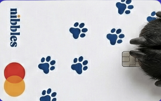 Nibbles Rewards Credit Card card art